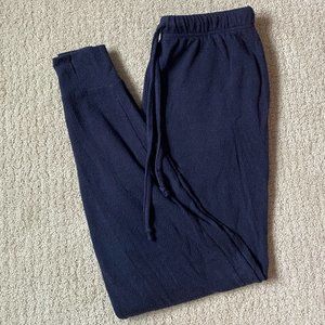 Aerie Plush Nomad Jogger Blue